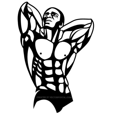 Bodybuilder Vector Art | Vector art, Man vector, Vector images