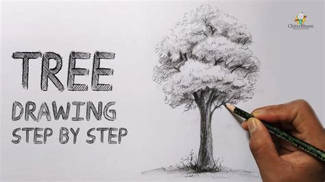 How To Draw a Tree | Easy Step By Step | Pencil Drawing Shading | Tree ...