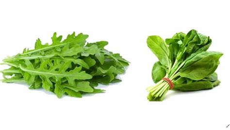 Arugula vs. Spinach: Nutrition and Health Benefits - Homes Pursuit