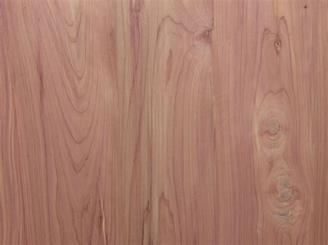 Cedar (Aromatic) Plywood / Panel | Capitol City Lumber