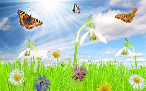 Free Spring Animated Wallpaper - WallpaperSafari