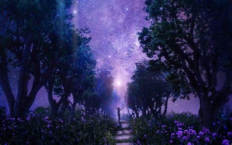 Purple forest wallpaper | Night sky wallpaper, Scenery background ...