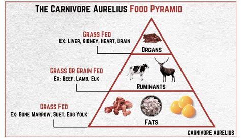 August of Aurelius: Week 1, Day 3 - Carnivore Aurelius