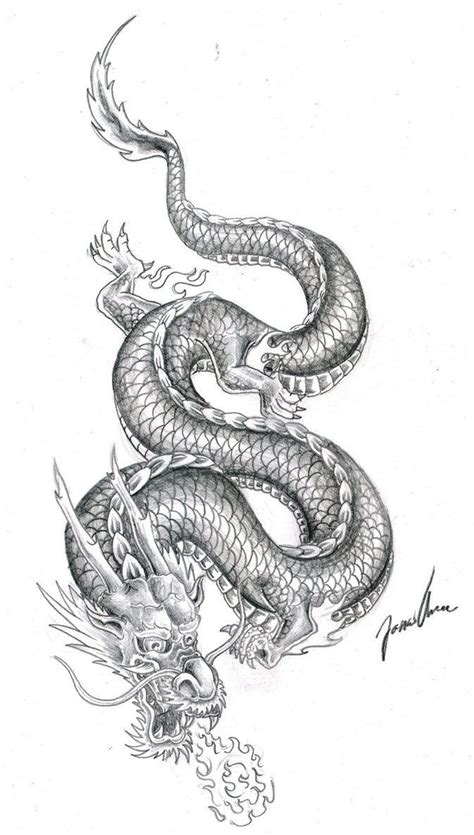 Pin on Macas | Dragon tattoo drawing, Dragon tattoo designs, Dragon tattoo