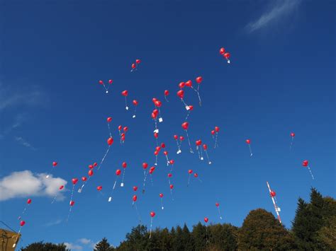 Free Images : sky, fly, love, red, romance, romantic, toy, wedding day ...