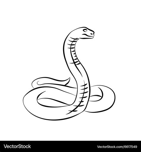 Black snake Royalty Free Vector Image - VectorStock