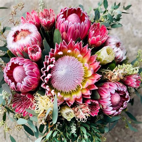 Protea Perfection | Protea bouquet, Fall flower arrangements, Tropical ...