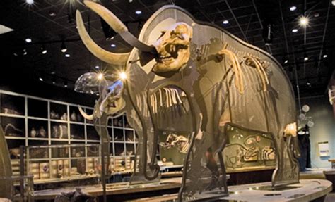 Western Science Center - Hemet, CA | Groupon