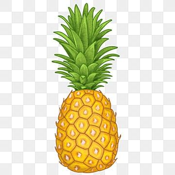 Pineapple Clipart Images | Free Download | PNG Transparent Background ...