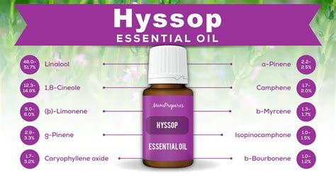 Hyssop Essential Oil - The Complete Uses and Benefits Guide