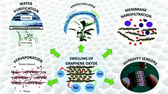 Swelling properties of graphite oxides and graphene oxide multilayered ...