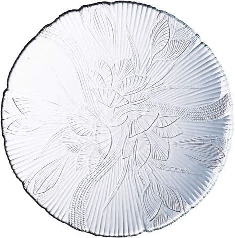 Amazon.com | 10" Dinner Plate (Pack of 12): Dinner Plates