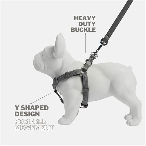 Dog Harnesses - A Complete Shoppers Guide | Barc London