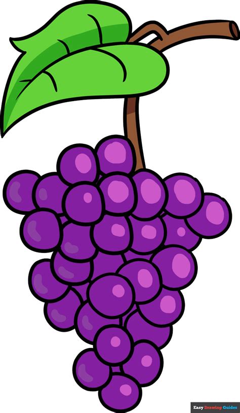 How to Draw Grapes - Really Easy Drawing Tutorial