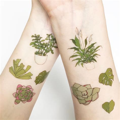 Succulent / Plant Temporary Tattoos Illustrated Pot Plants / - Etsy