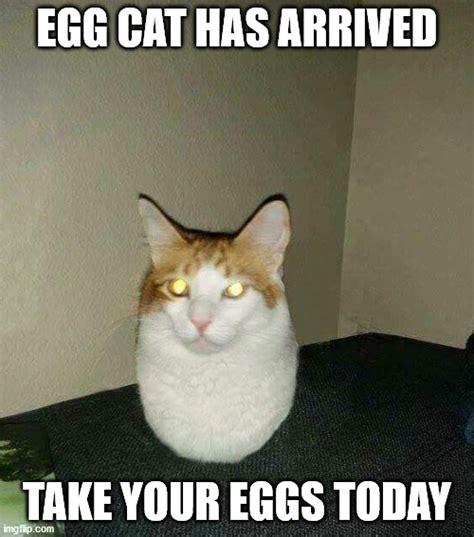 EGG CAT HERE GET FREE EGG AT EGGEGGEGG - Imgflip