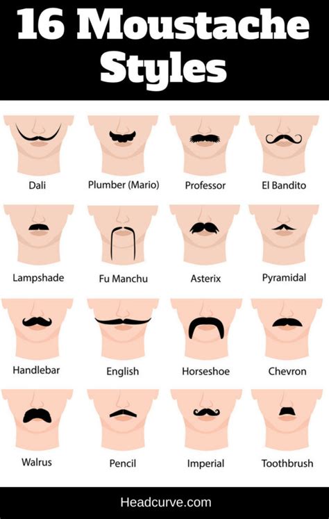 16 Moustache Styles and Names (Chart and Illustrations) – Headcurve