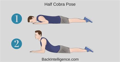 7 Herniated Disc Exercises For Lower Back (Lumbar Area)