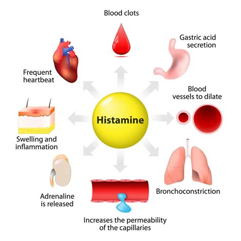 Histamine