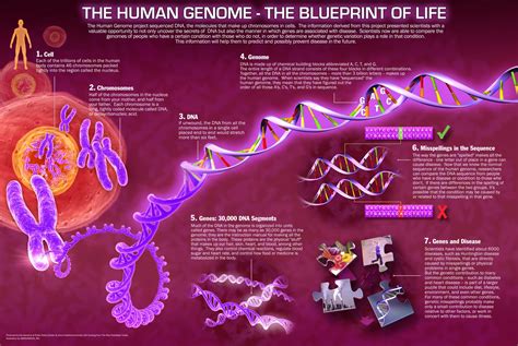 The Age of the Genome 4 | HISTORIES OF THINGS TO COME