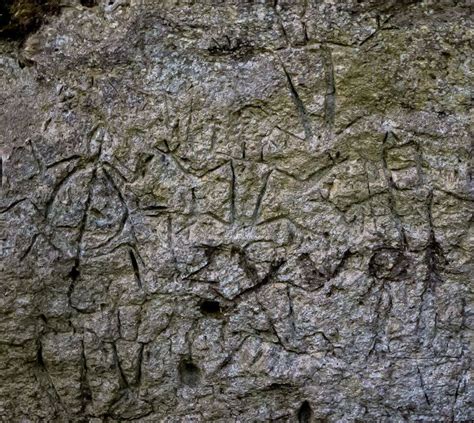 The Amazing Angono-Binangonan Petroglyphs | Travel to the Philippines