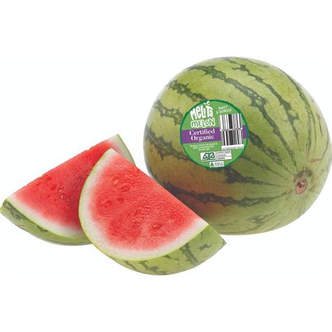 Organic Mini Watermelon Seedless Each | Woolworths