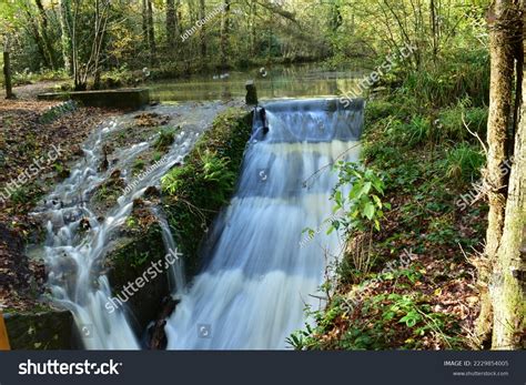 Stover Country Park Heart Wildlife Stock Photo 2229854005 | Shutterstock