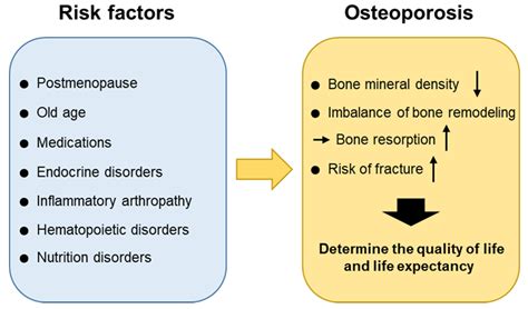 Osteoporosis Diagnosis