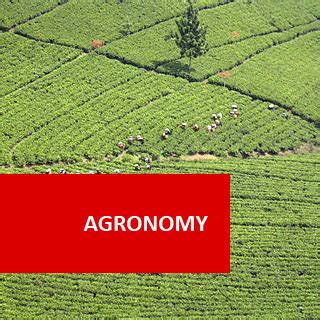 Agronomy Course online | Crops