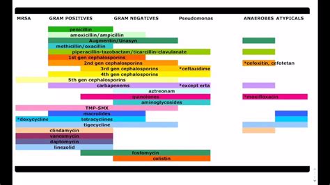 Antibiotic Spectrum Coverage Chart: A Visual Reference of Charts ...