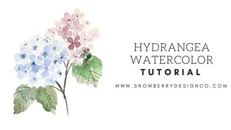 Hydrangea Watercolor at GetDrawings | Free download