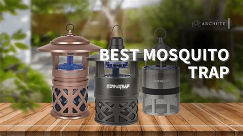 Top 5 Best Mosquito Traps - Archute