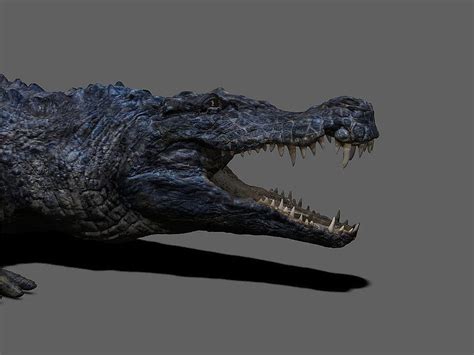 Deinosuchus HD wallpapers | Pxfuel