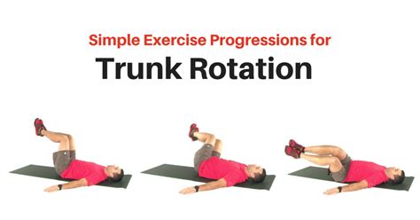 Simple Trunk Rotation Exercise Progression