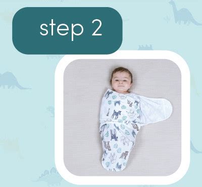 Wild Prairie Minky Easy Swaddle | aden + anais