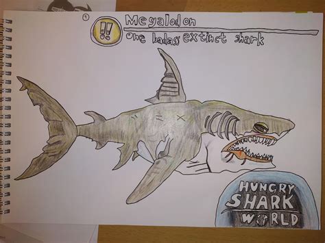 Megalodon drawing : r/HungrySharkWorld