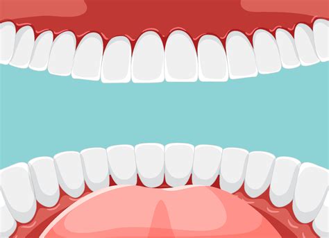 Human teeth inside mouth with whiten teeth 6765735 Vector Art at Vecteezy