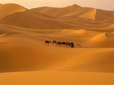 Sahara Desert Top Tours and Tips | experitour.com