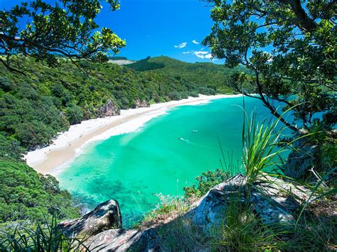 The Best Beaches in New Zealand - Photos - Condé Nast Traveler