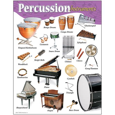 Percussion Instruments Learning Chart Trend Enterprises Inc. T-38102 ...