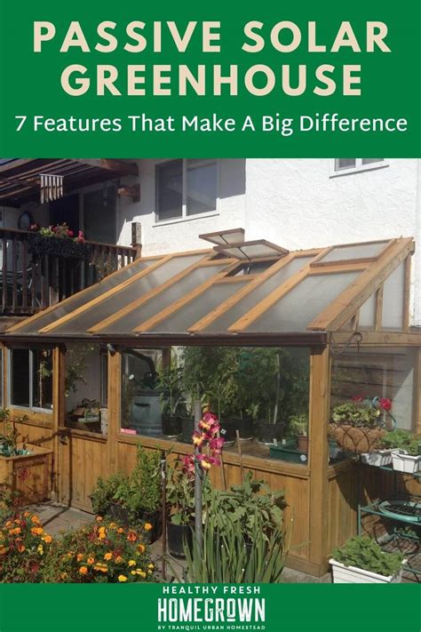 7 Useful Features You Need in a Passive Solar Greenhouse - Healthy ...