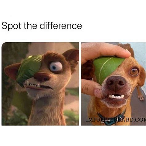 "I see no difference : r/meme