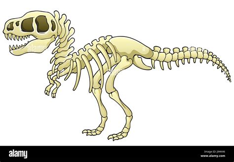 Tyrannosaurus rex skeleton drawing hi-res stock photography and images ...