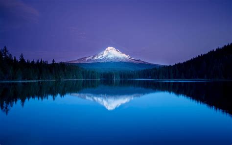 blue, Mountain, Lake, Reflection, Forest, Oregon Wallpapers HD ...