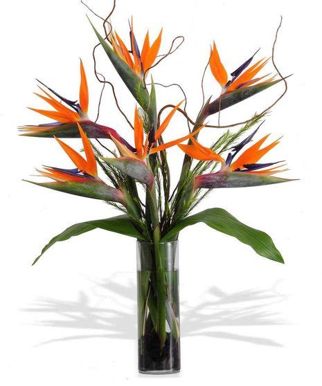 The Bird of Paradise Tropical Floral Arrangement in Minneapolis, MN ...