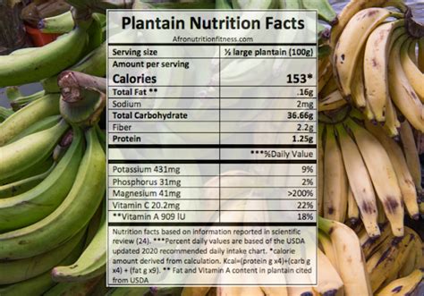 Are Plantains Healthy? 7 Amazing Health Benefits Of Plantain | A ...