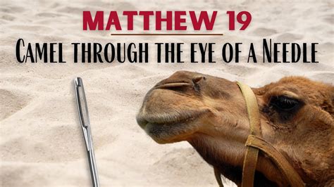 Matthew 19: Camel through the eye of a needle (KJV) - Jesus and the ...