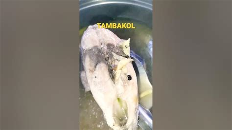 fish tambakol - YouTube