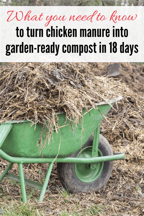 Chicken Manure Compost in Just 18 Days - Celebrating a Simple Life