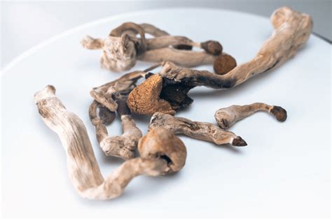 How Long Do Shrooms Stay In Your System? - Daily Marijuana